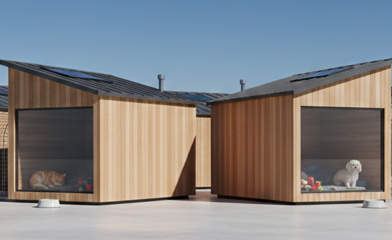 Gemini_Generated_Image_obvlxwobvlxwobvl 555x340